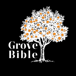 The Grove Bible Chapel Tampa